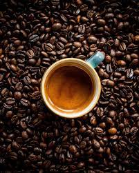 CAFÉ SCENTIA