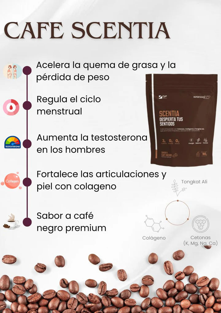 CAFÉ SCENTIA