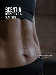 CAFÉ SCENTIA